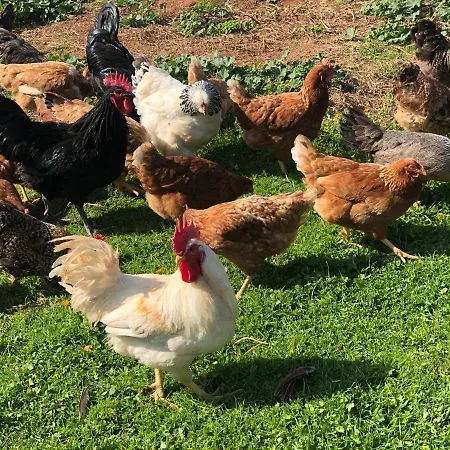 Tenuta Le Casette Ugento