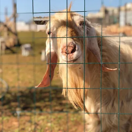 Lantställe Tenuta Le Casette Ugento