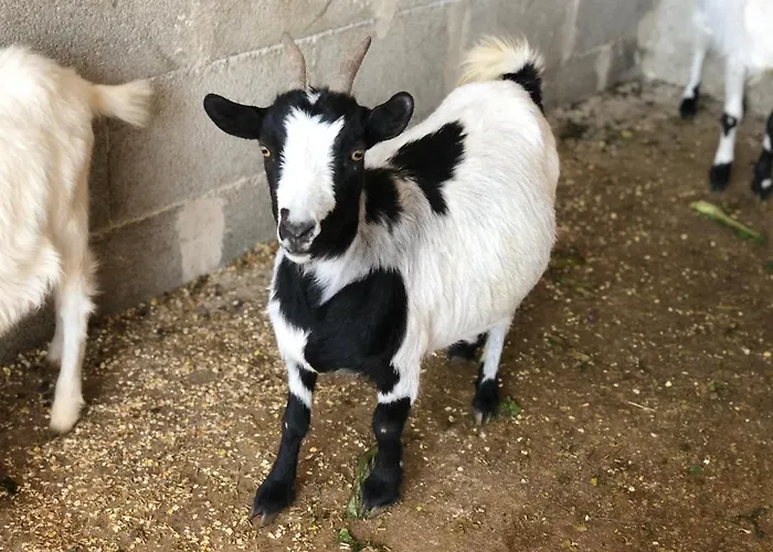 Tenuta Le Casette Landsted